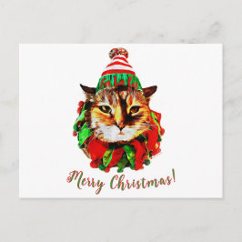 Briefkaarten van Lil Luv