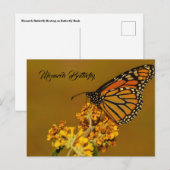 Briefkaarten van Monarch Butterfly (Voorkant / Achterkant)