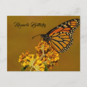 Briefkaarten van Monarch Butterfly (Voorkant)