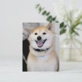 Briefkaarten van Oranje en wit Shiba Inu Hondenras (Staand voorkant)
