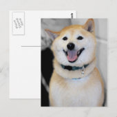 Briefkaarten van Oranje en wit Shiba Inu Hondenras (Voorkant / Achterkant)