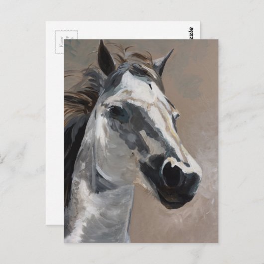 Briefkaarten van paarden (Voorkant / Achterkant)