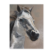 Briefkaarten van paarden