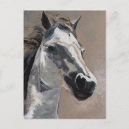 Briefkaarten van paarden