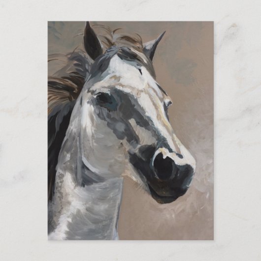 Briefkaarten van paarden (Voorkant)