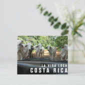 Briefkaarten van Paradise Vacation Foto Briefkaart (Staand voorkant)