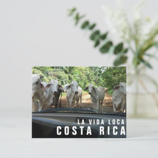 Briefkaarten van Paradise Vacation Foto Briefkaart (Staand voorkant)