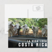 Briefkaarten van Paradise Vacation Foto Briefkaart (Voorkant / Achterkant)