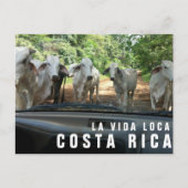 Briefkaarten van Paradise Vacation Foto Briefkaart (Voorkant)