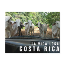 Briefkaarten van Paradise Vacation Foto Briefkaart