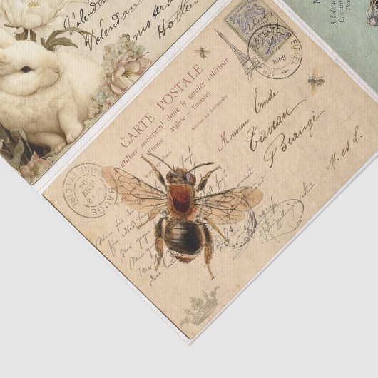 Briefkaarten van Parijs Tissuepapier (Detail)