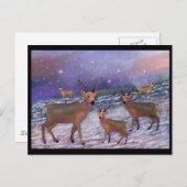Briefkaarten van rendiersnuffel (Voorkant / Achterkant)