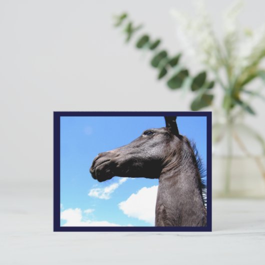 Briefkaarten van rondpaarden (Staand voorkant)