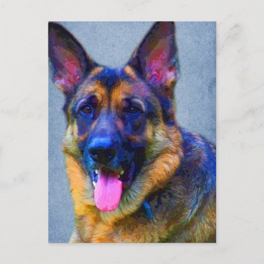 Briefkaarten van Shepherd Portrait (Voorkant)