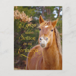 Briefkaarten van Spaanse bijbelse reuzenpaarden