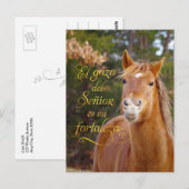 Briefkaarten van Spaanse bijbelse reuzenpaarden (Voorkant / Achterkant)