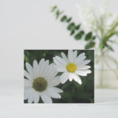 Briefkaarten van White Daisies (Staand voorkant)