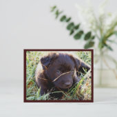 Briefkaarten verbergen en zoeken (Staand voorkant)