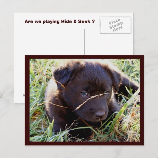 Briefkaarten verbergen en zoeken (Voorkant / Achterkant)