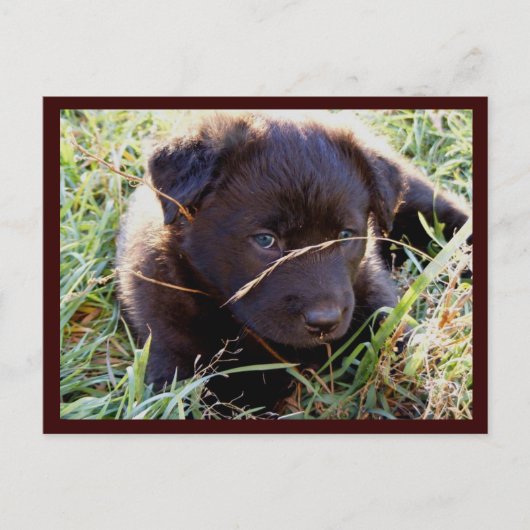 Briefkaarten verbergen en zoeken (Voorkant)