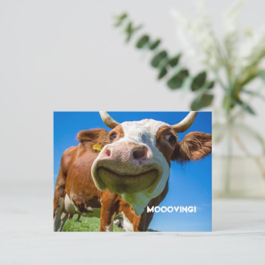 BRIEFKAARTEN VOOR ADRESWIJZIGING VERPLAATSEN (Staand voorkant)