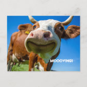 BRIEFKAARTEN VOOR ADRESWIJZIGING VERPLAATSEN (Voorkant)