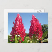 Briefkaarten voor bloemen (Voorkant / Achterkant)