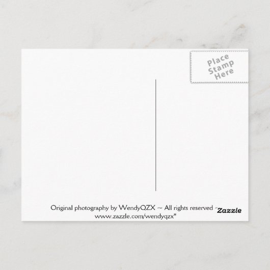 Briefkaarten voor bloemen (Achterkant)