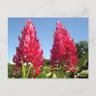 Briefkaarten voor bloemen