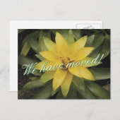 Briefkaarten voor bloemenbeweging met gele bloem (Voorkant / Achterkant)