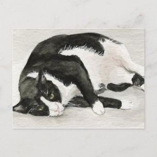 briefkaarten voor "Comfortable Tuxedo Cat"