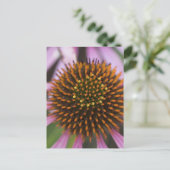 Briefkaarten voor conefloerfoto's (Staand voorkant)