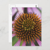 Briefkaarten voor conefloerfoto's (Voorkant / Achterkant)