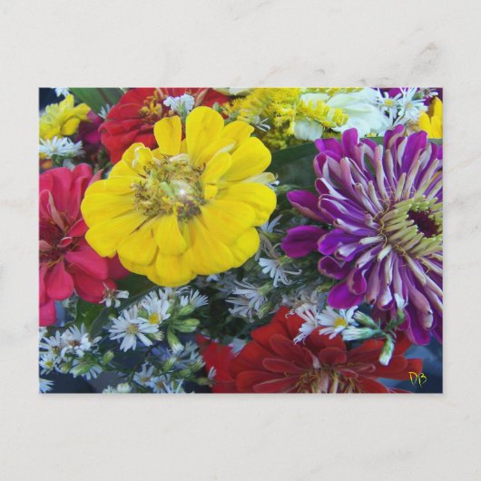 Briefkaarten voor de boerenmarkt (Voorkant)