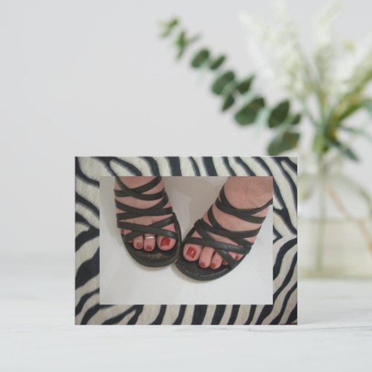  Briefkaarten voor de Zebra van Toes (Staand voorkant)