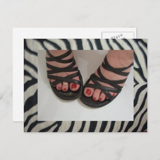  Briefkaarten voor de Zebra van Toes (Voorkant / Achterkant)