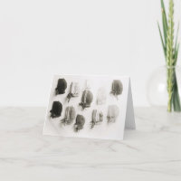  briefkaarten voor gebreide petten