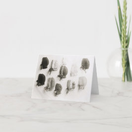  briefkaarten voor gebreide petten