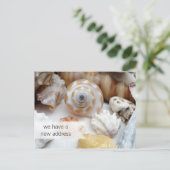 Briefkaarten voor het nieuwe adres van kustbewoner (Staand voorkant)
