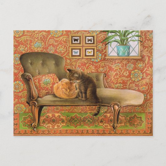 Briefkaarten voor het schilderen van katten  (Voorkant)