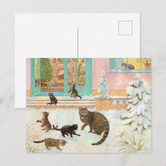 Briefkaarten voor het schilderen van katten  (Voorkant / Achterkant)
