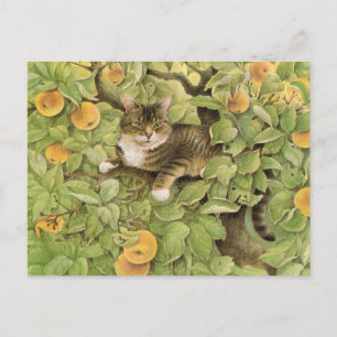 Briefkaarten voor het schilderen van katten 