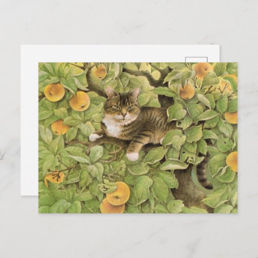 Briefkaarten voor het schilderen van katten (Voorkant / Achterkant)