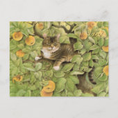 Briefkaarten voor het schilderen van katten (Voorkant)