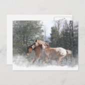 Briefkaarten voor kerstfeestdagen (Voorkant / Achterkant)