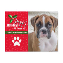 Briefkaarten voor kerstfoto's