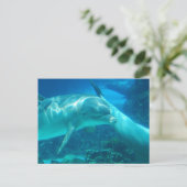 Briefkaarten voor poppenpoppen (Staand voorkant)