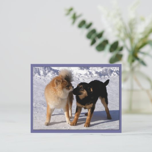 Briefkaarten voor puppy play (Staand voorkant)