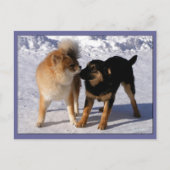 Briefkaarten voor puppy play (Voorkant)