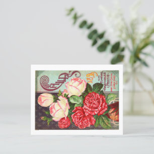 Briefkaarten voor zaadverpakking